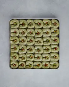 Fıstıqlı Bülbül Yuvası