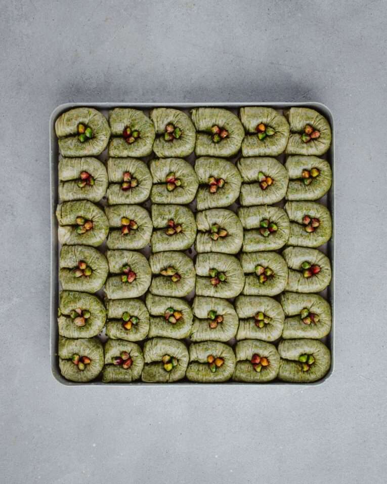 Fıstıqlı Bülbül Yuvası